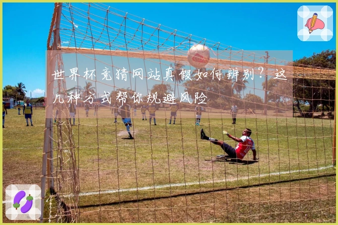 世界杯竞猜网站真假如何辨别？这几种方式帮你规避风险