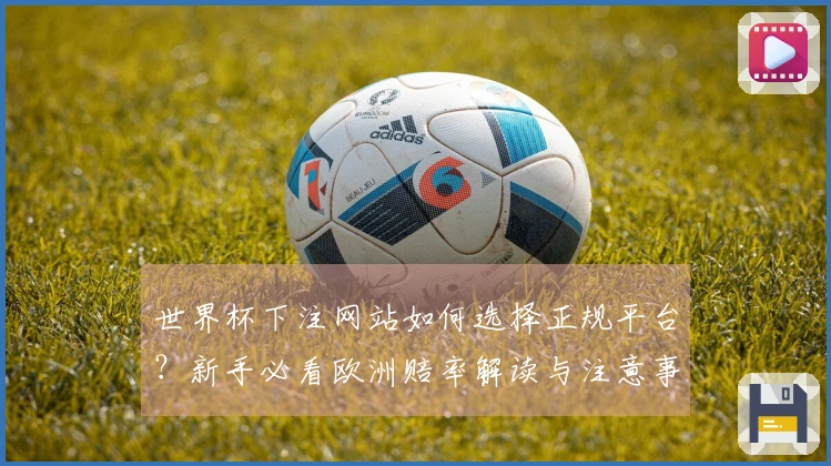 世界杯下注网站如何选择正规平台？新手必看欧洲赔率解读与注意事项