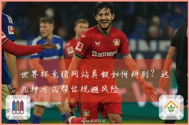 世界杯竞猜网站真假如何辨别？这几种方式帮你规避风险