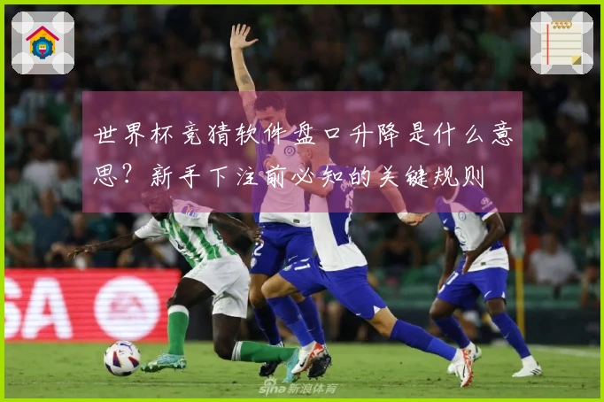 世界杯竞猜软件盘口升降是什么意思？新手下注前必知的关键规则